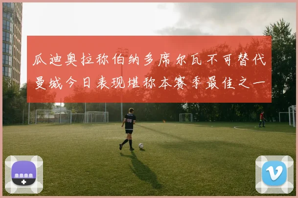 瓜迪奥拉称伯纳多席尔瓦不可替代曼城今日表现堪称本赛季最佳之一