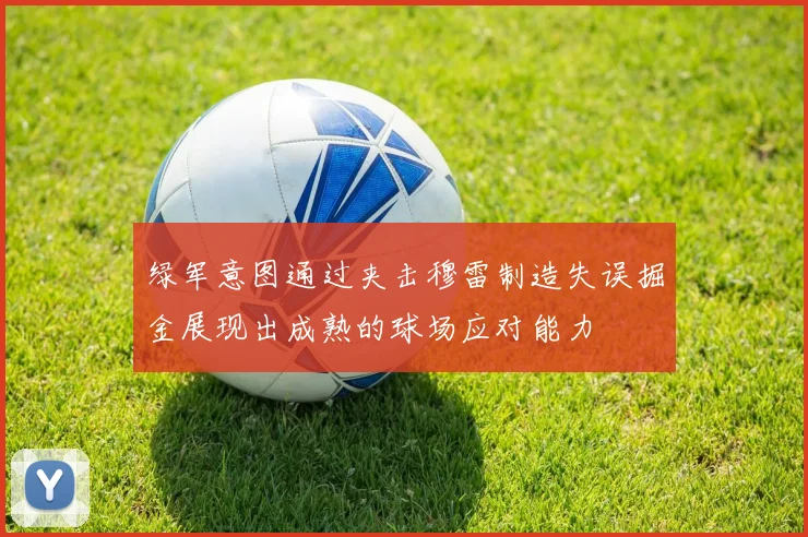 绿军意图通过夹击穆雷制造失误掘金展现出成熟的球场应对能力