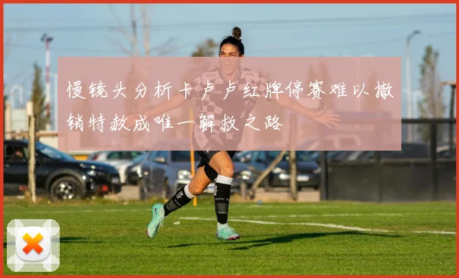 慢镜头分析卡卢卢红牌停赛难以撤销特赦成唯一解救之路