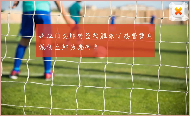 弗拉门戈即将签约雅尔丁接替费利佩任主帅为期两年